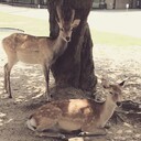 あなたに愛を叫ブログ