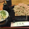 ビジュアル的にはどうかと思いますが、蕎麦湯が美味しい。手打ち蕎麦小花庵。