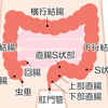 転移有無の結果と外科受診