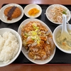 飛騨高山、激盛り油淋鶏の町中華