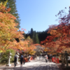 旅行：西日本周遊（2019年11月）