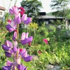 トンネルがくれた気付き