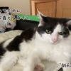 福の🩷バランスが変わった