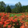 2023年6月17日（土）　東信州２泊３日  Day １ (松本〜美ヶ原〜湯の丸高原)　