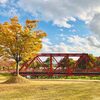 紅葉ピークを迎えた越路河川公園で秋の散策