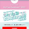 My Fave Swallows!! 2023