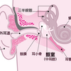 圧はどこで感じる…？