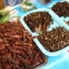 タイの昆虫食：伝統から持続可能な未来へ