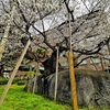 24, Spring colors ２ … 桜の記２