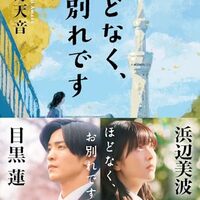 namikawamisakiのNのアンテナ