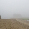 春の霧に包まれた小豆島エンジェルロード