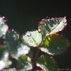 梅雨の晴れ間。