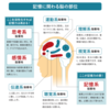 アウトプット指向。