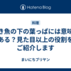焼き魚の下の葉っぱには意味がある？見た目以上の役割をご紹介します