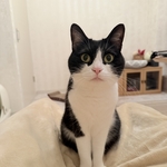 久しぶりの更新です