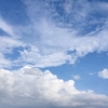 近づく夏と研修会での気づき