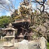 【京都】『城南宮』に梅の花を見に行きました。　