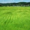 風の詩情（10）
