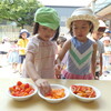 久しぶりの夏の登園日