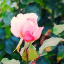 EXOに心奪われて❤️