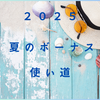 2025年夏のボーナスの使い道を計画