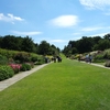 懐かしのWisley Garden