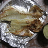 お魚泥棒