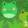 熱帯雨林の小動物　緑の中の隠れ家: カエルの生態