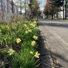 野幌自然公園