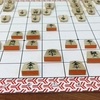 【第30局】チェコの将棋