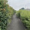 Photo No.2341 / スプラで苦しむ