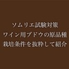 ソムリエ試験対策ワイン用ブドウの原品種や栽培条件等抜粋して紹介