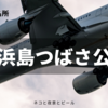 飛行機撮影の名所・京浜島つばさ公園で離陸・着陸を撮りまくる。