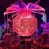 「アートアクアリウム2018」に行ってきました