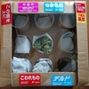 【購入】多肉植物