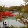 紅葉情報♪酸ヶ湯と地獄沼は見頃、城ヶ倉大橋は10月中旬から