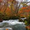 奥入瀬渓流14km踏破！青森紅葉狩りツアー＜第2日＞
