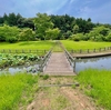 飯塚沼農村公園の修景池（千葉県匝瑳）