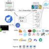 KubernetesのモニタリングツールのKubesharkを触ってみた