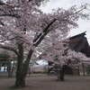 ★立科町津金寺を訪ねて①　2023
