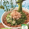すき家から「めかぶオクラ牛丼」「たっぷりめかぶ牛丼」が新登場！ねばとろ食感、初夏にぴったりな新商品です