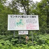 断酒４４０日目   ピンネシリ
