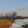 魚沼市　魚野川桜づつみ公園