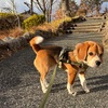 さむさむ