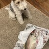 ありがたや海の幸