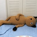 にゃんタロスの休日ブログ