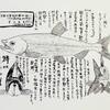 「幻の魚は生きていた」３……クニマスとヒメマスと黒いマスをきちんと読み分け、筆者の論証を確かめよう