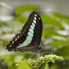 夏過ぎて、大宮公園