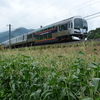 讃岐府中駅付近（香川県坂出市）で梅雨空の中、夏の景色を求めてサイクリングです。