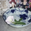 コヒルガオを食べて節約する下級国民